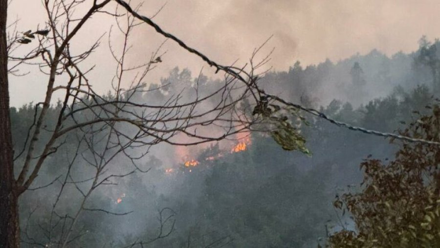 AME: 78 vatra zjarri regjistrohen sot në Kosovë, zjarrfikësit dhe FSK-ja në terren