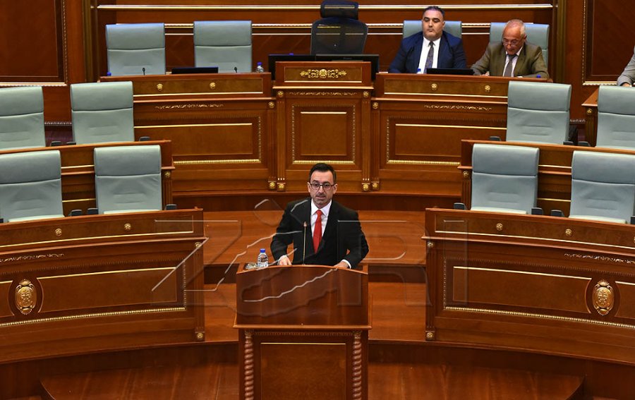 Dimal Basha thotë se në punimin e Jana Arsovskas ai ka shkruar vetëm një kapitull