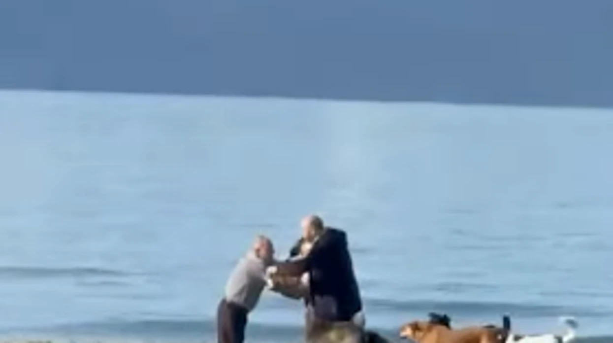 Qentë sulmojnë të moshuarin në Vlorë