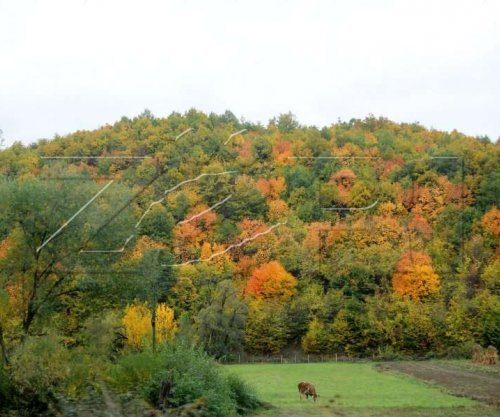 GGK: Kosova po shpyllëzohet - komunat më të prekura janë Prishtina, Gjakova, Peja dhe Podujeva