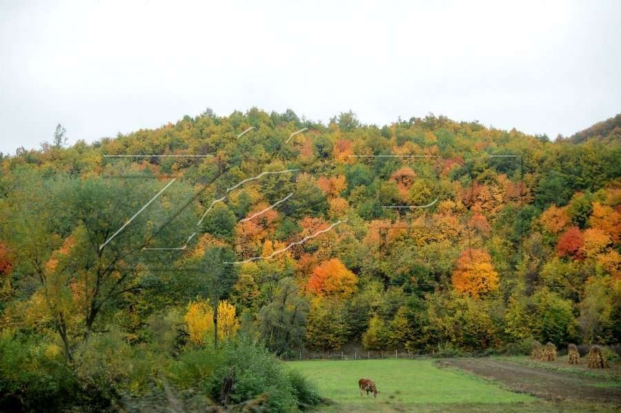GGK: Kosova po shpyllëzohet - komunat më të prekura janë Prishtina, Gjakova, Peja dhe Podujeva