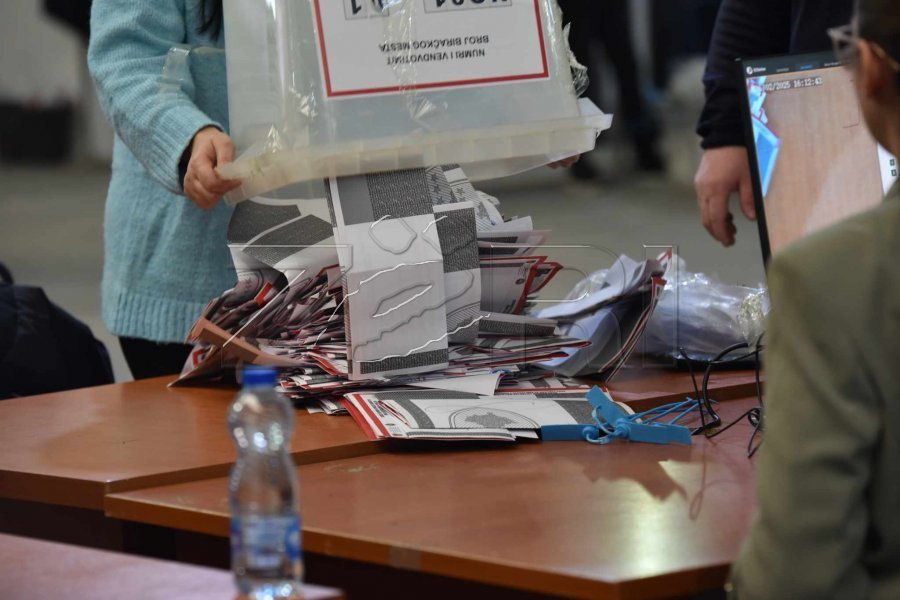 LVV-ja nis “gjahun” për votat e diasporës