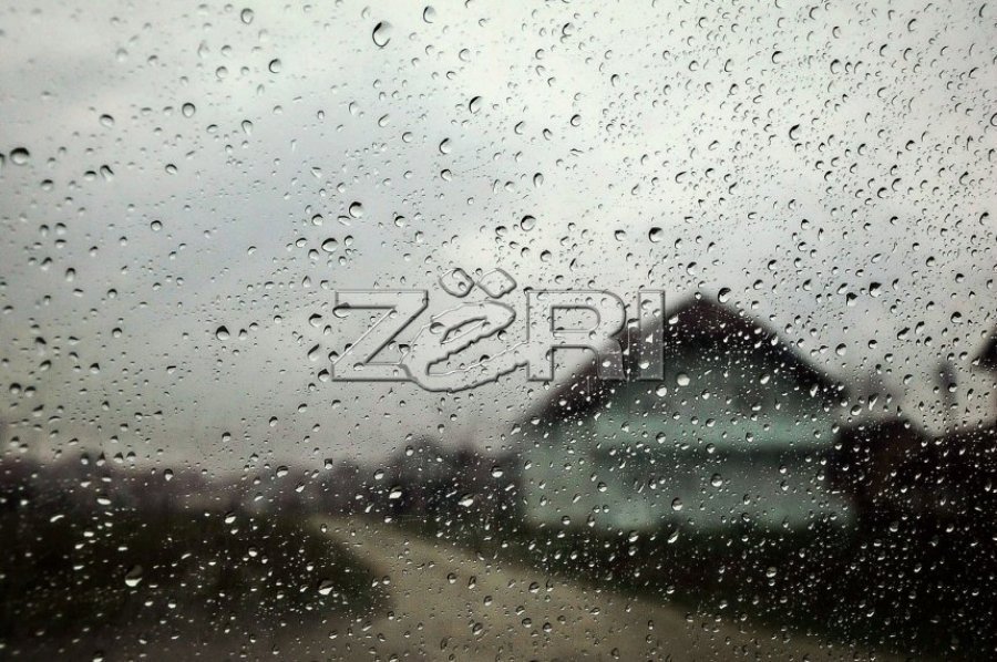 Mot i vranët dhe me riga shiu