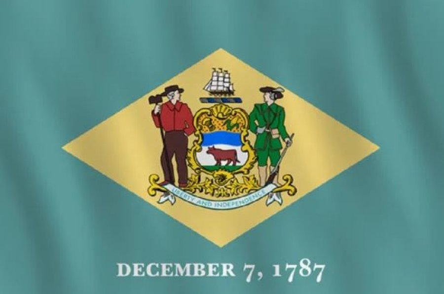 Cili ishte shteti i parë federal amerikan?