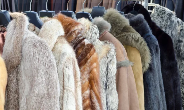 Polonia i jep fund prodhimit të veshjeve prej gëzofi