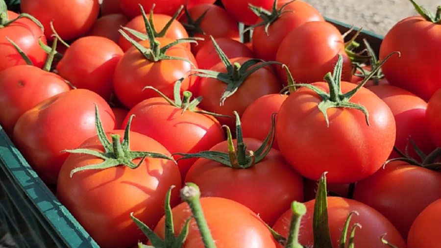 Kritika për sigurinë ushqimore  raporti i Progresit i BE së për Shqipërinë vë në dukje dobësinë e sistemit të kontrollit