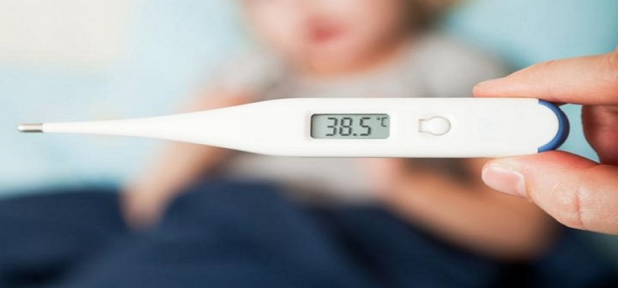 si-ta-ulni-temperaturen-pa-perdorur-ilace