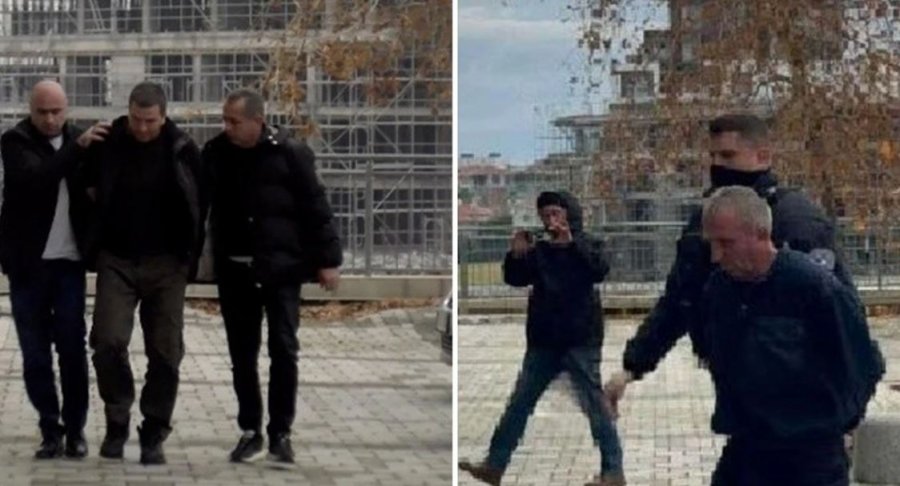 Viçentijeviqi propagandoi për krijimin e një organizatë për mbrojtjen dhe lirimin e trojeve shqiptare