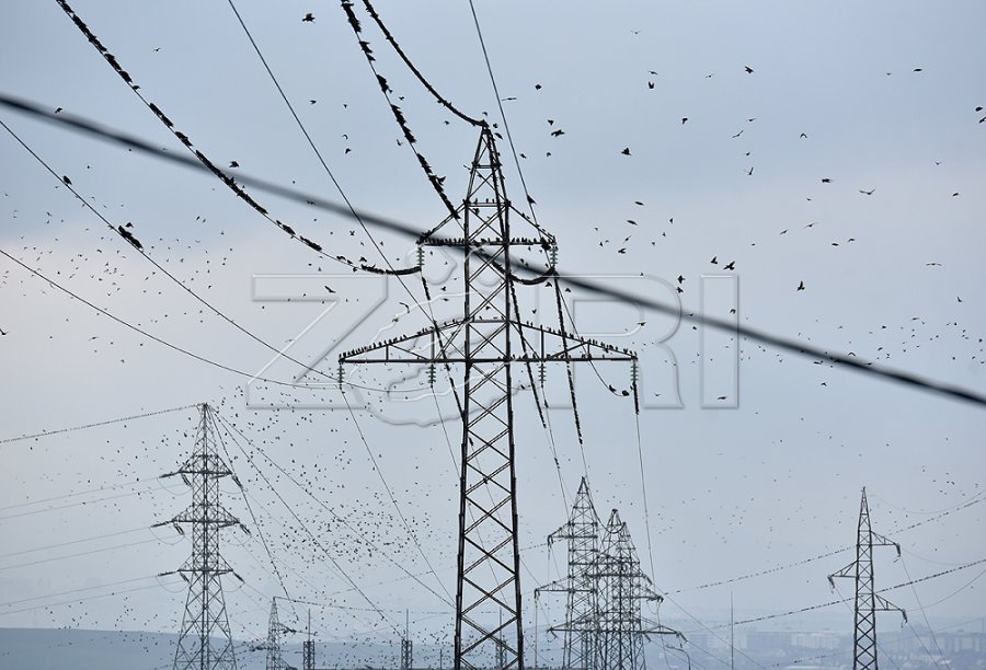 KOSTT i nënshkruan kontratën për nënstacionin e ri 220 kV në Malishevë  investim mbi 6 7 milionë euro