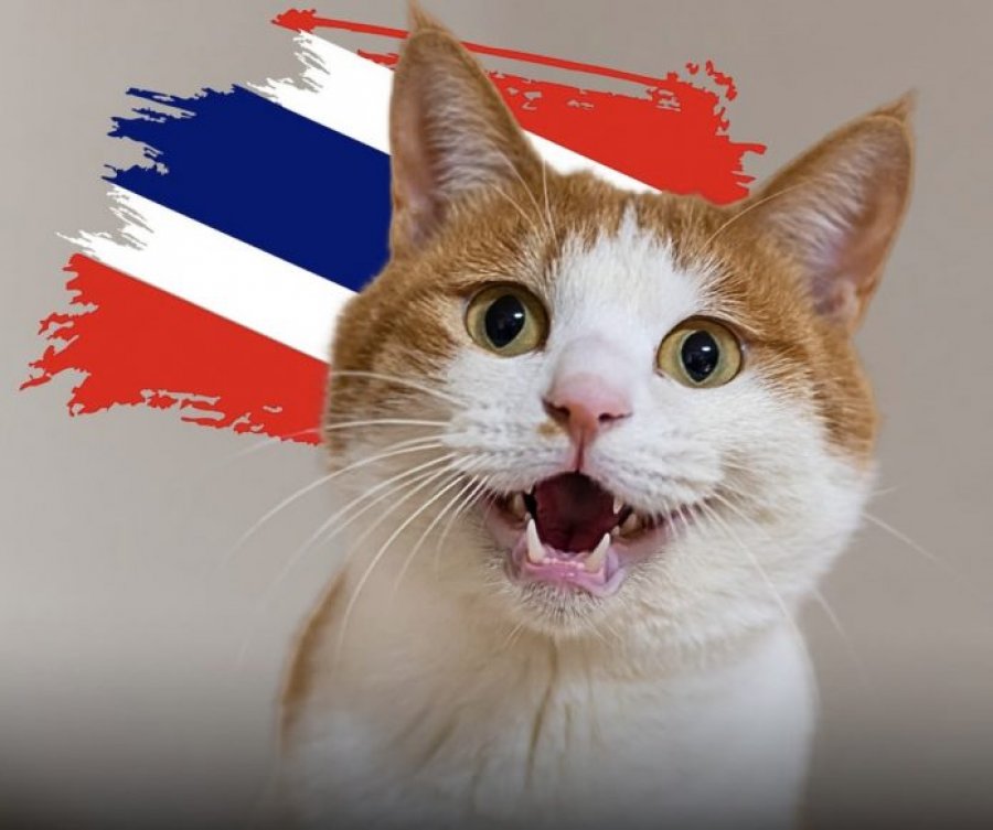 Macet tajlandeze shpallen zyrtarisht simbole kombëtare