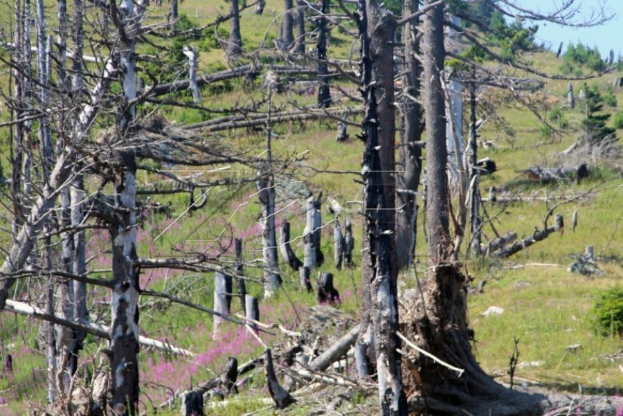 Ahmeti: Produktet pyjore jodrusore sjellin deri në 20 milionë euro eksport në vit