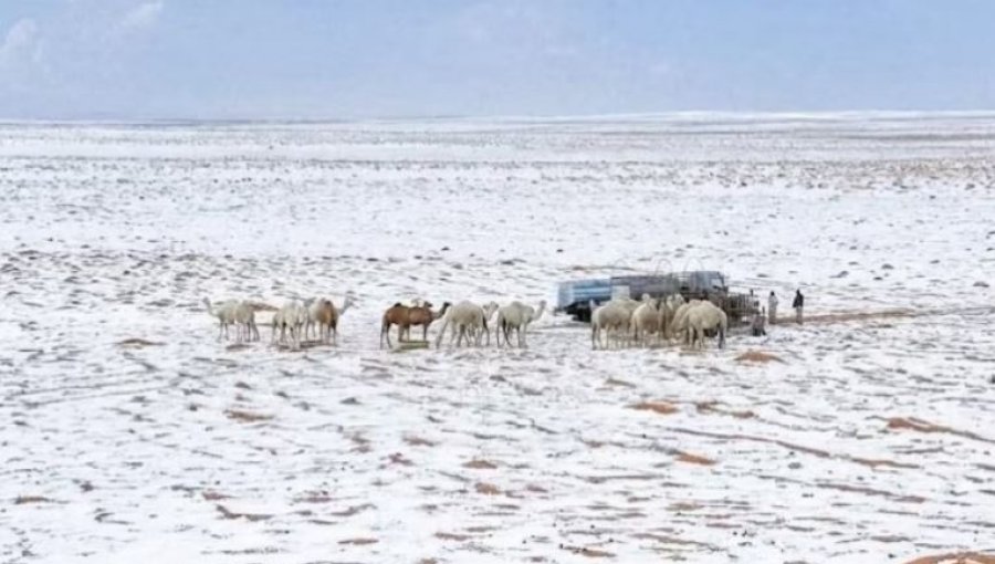 E pazakontë  shkretëtira arabe zbardhet nga dëbora pas 30 vitesh