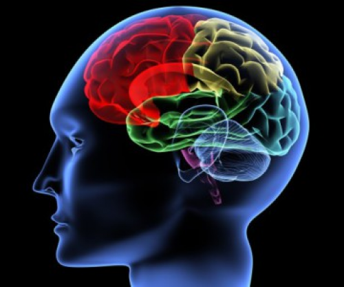 BBC: A po e dëmton AI aftësinë tuaj të të menduarit?