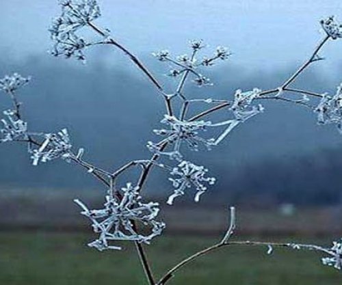 Çfarë moti do të mbajë për ditën e zgjedhjeve?