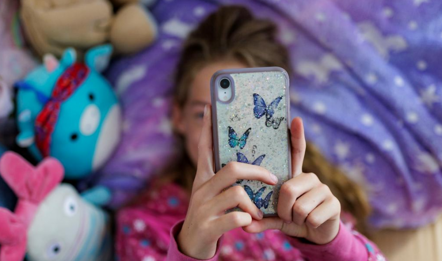 Gjermani  Thirrje për ndalimin e mediave sociale për fëmijët