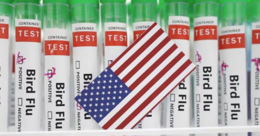 SHBA: Qeveria akordon fondin prej 306 milionë dollarësh për monitorimin e gripit të shpendëve