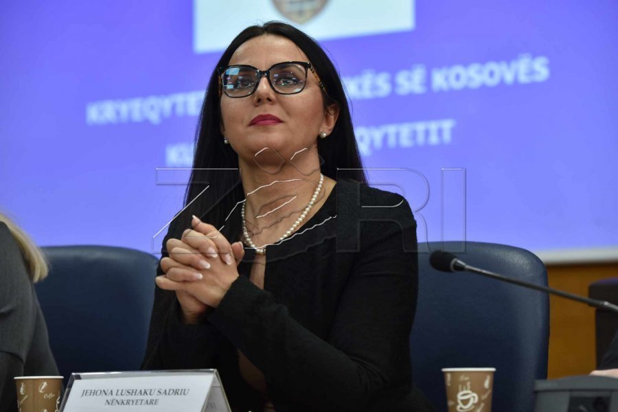 Lushaku-Sadriu fton diasporën të votojë: Bashkë mund të sjellim ndryshimin për Kosovën