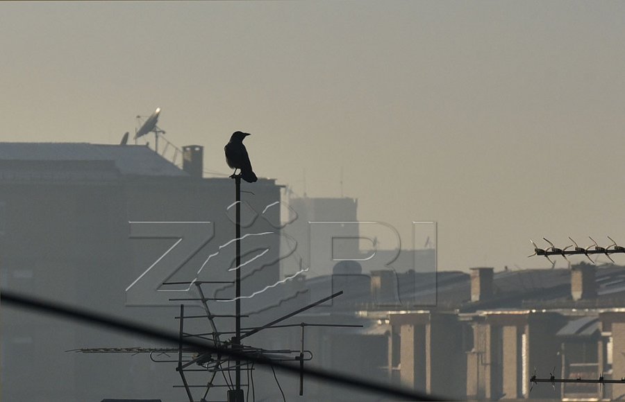 Veselaj: Përmirësimi i cilësisë së ajrit kërkon zgjidhje sistematike