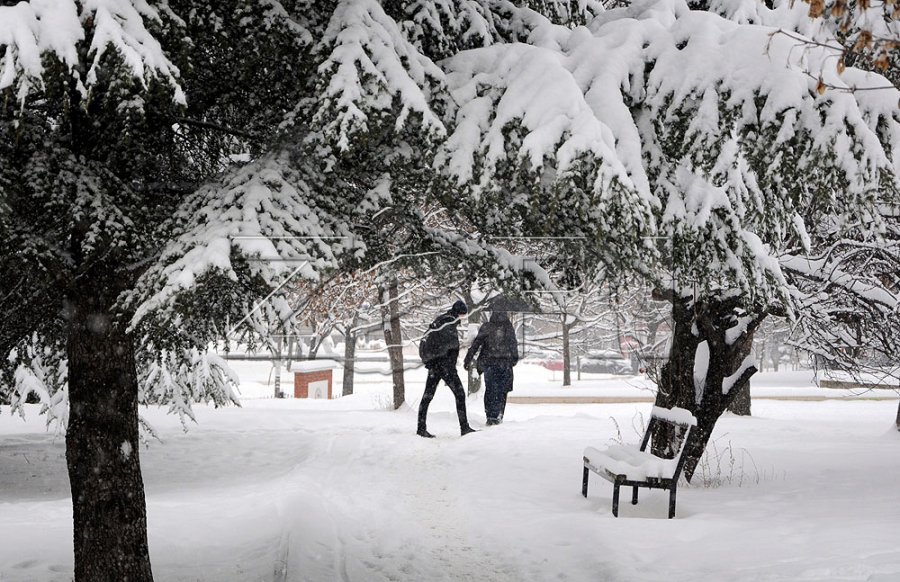 Bien temperaturat, parashikimi i motit për javën e dytë të janarit