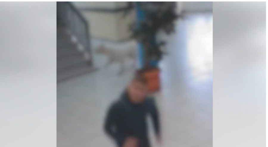 Pronari i qenit që sulmoi nxënësit në Suharekë ndalohet për 48 orë