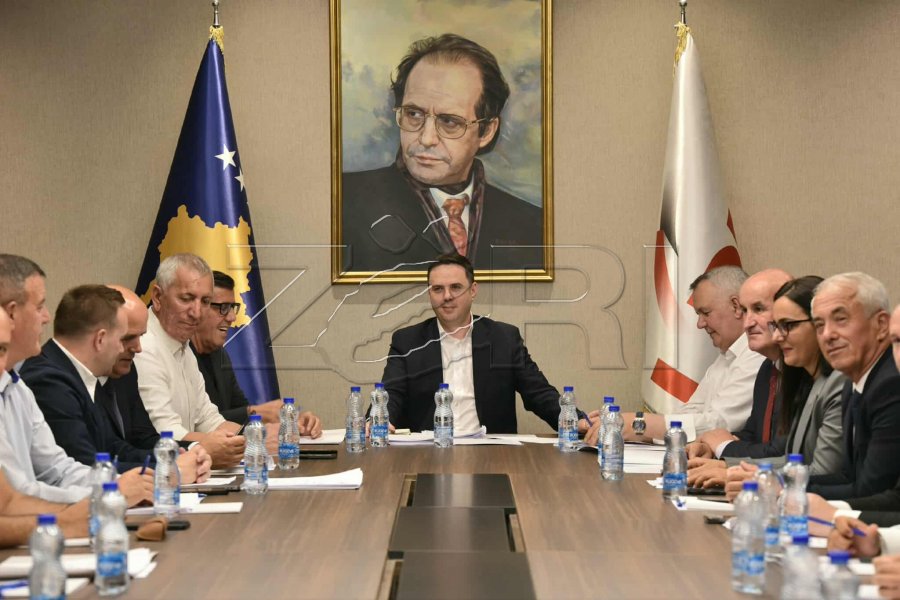 LDK-ja nis zyrtarizimin e kandidatëve për zgjedhjet lokale