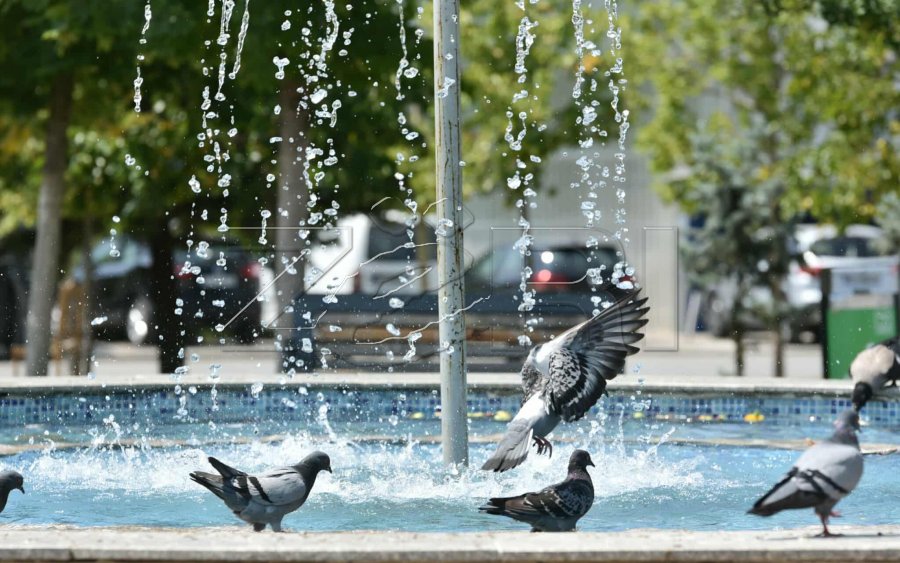 Kujdes, edhe sot temperatura të larta