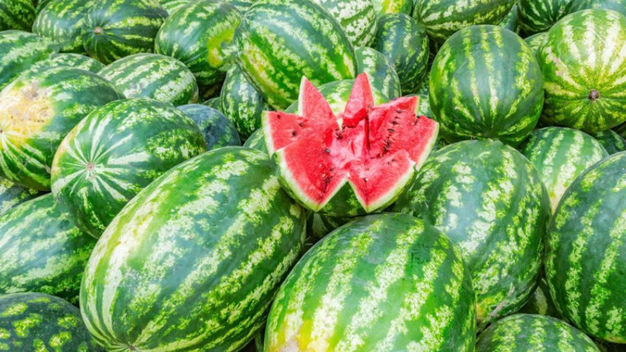 Një nga frutat më hidratues, si ndikon shalqiri në zemër dhe enët e gjakut?