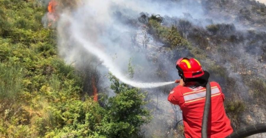 Greqi, zjarret masive në pyje detyrojnë evakuimin e banorëve