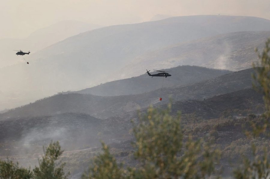 Zjarri në Delvinë, Rama falënderon shefin e policisë që shpëtoi jetë duke rrezikuar jetën e tij