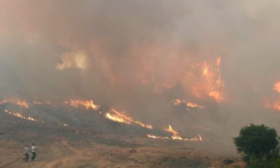 Sa llogaritet dëmi i shkaktuar nga zjarret në Shqipëri