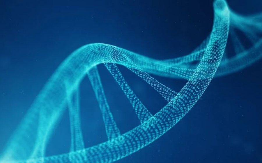 Nis projekti për të krijuar ADN-në artificiale njerëzore