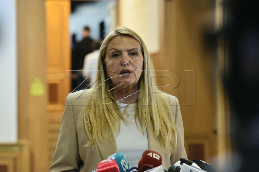 Deputetja e AAK së  Qeveria në detyrë po e mban me dhunë pushtetin