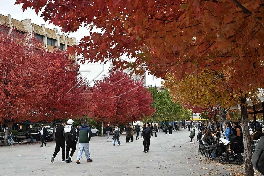 Parashikimi i motit për ditën e nesërme