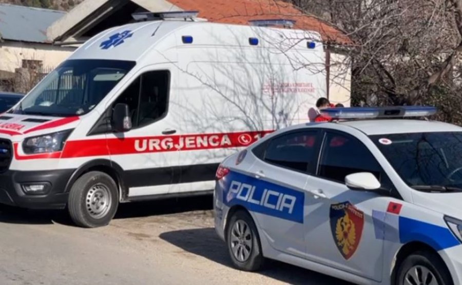Berat  Po mblidhte ullinj  43 vjeçari bie nga pema dhe vdes