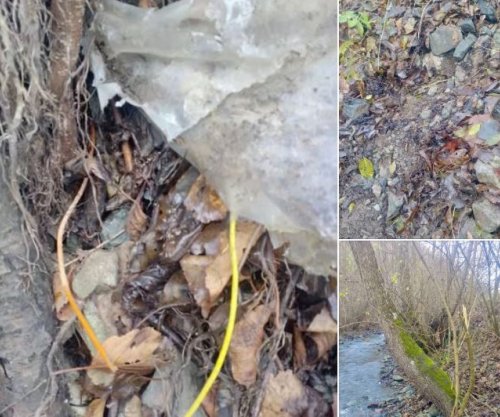 Gjenden 10 detonatorë me fitila afër Leposaviqit, Sveçla: Serbia me banda po planifikon sulme terroriste