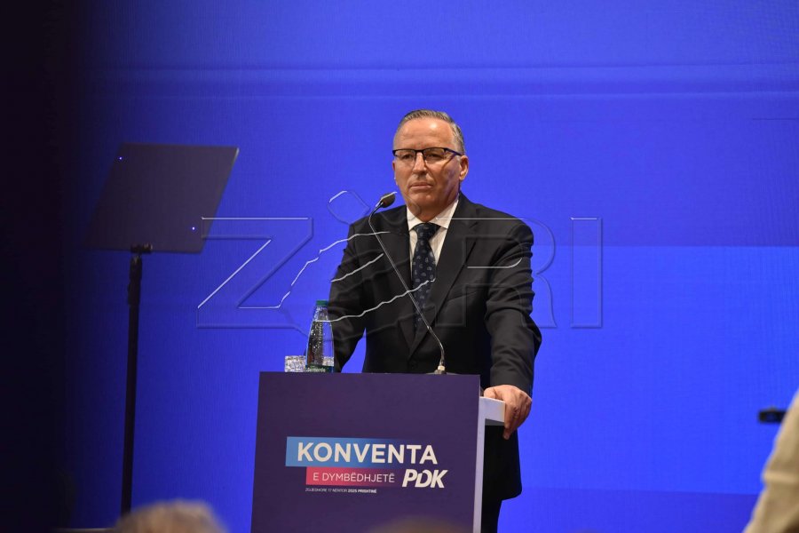 Kush është Bedri Hamza, kryetari i ri i PDK-së?