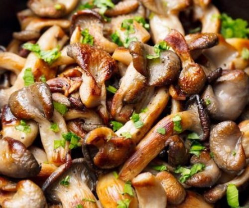 Kërpudhat ndihmojnë me kujtesën