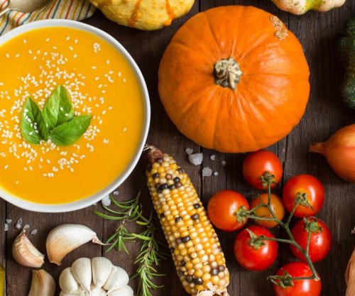 Ushqimet më të mira që duhet ngrënë në vjeshtë