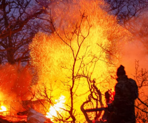Irani kërkon ndihmë urgjente për luftimin e zjarrit në pyjet e veta antike