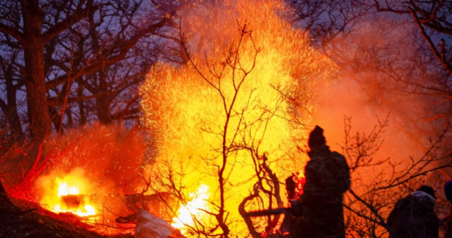 irani-kerkon-ndihme-urgjente-per-luftimin-e-zjarrit-ne-pyjet-e-veta-antike