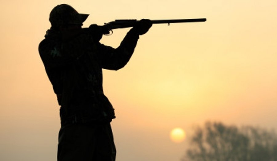 Postuan foto me kafshë të vrara, arrestohen tre persona për gjueti të paligjshme na Malishevë