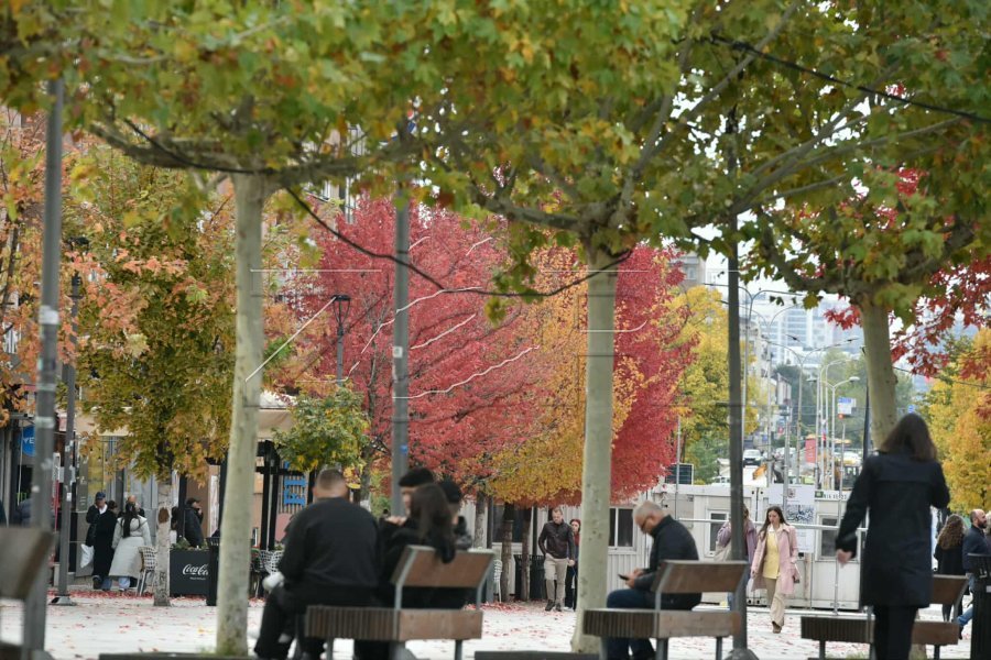 Parashikimi i motit për javën e ardhshme