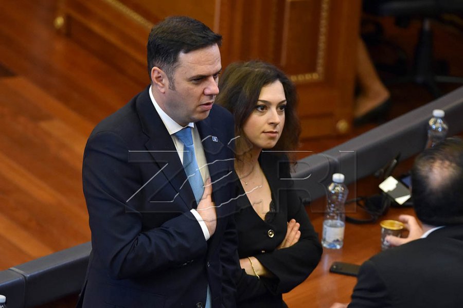 Kica Xhelili  Abdixhiku kishte kërkuar konsensus politik për tejkalimin e barrierave ligjore