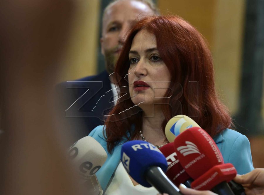 Hoxha  PDK ja s do të japë votë blanko për kandidatin e Kurtit për president