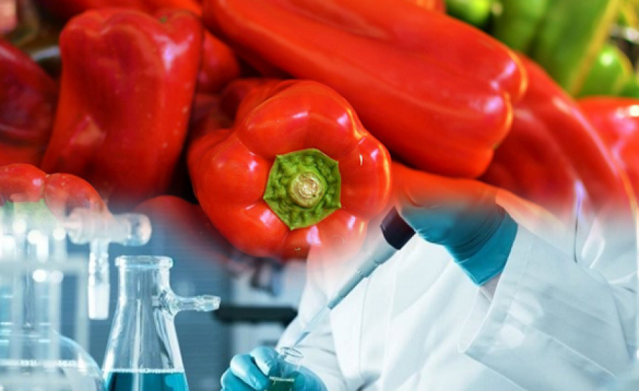 Mbetje pesticide mbi normë, pas Kroacisë - edhe Sllovenia bllokon një sasi specash nga Shqipëria