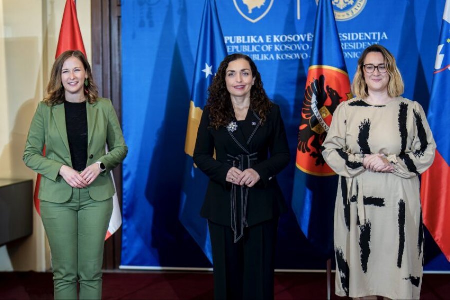 Plakolmi pas takimit me Osmanin: Qeverisja e mirë dhe bashkëpunimi, thelbësore për të ardhmen e Kosovës në BE
