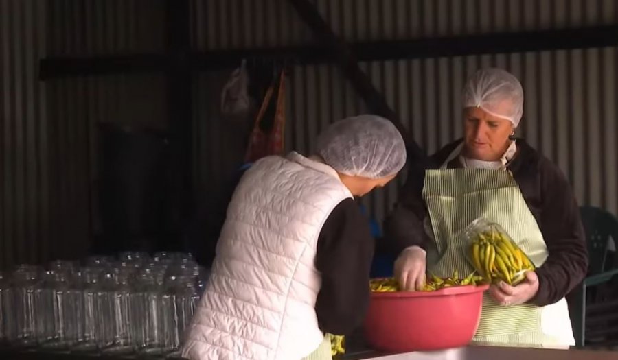 E filluan me tre kavanoza turshi, sot furnizojnë 30 pika të shitjes