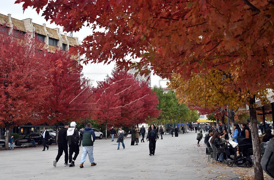 Sot vranët e me diell, temperaturat deri në 17 gradë Celsius
