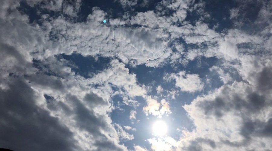 Mot me diell dhe pjesërisht i vranët