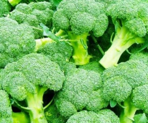 Këto janë disa ushqime që shpëtojnë mushkëritë